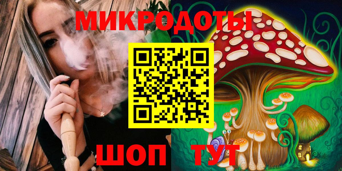 Котлас  Галлюциногенные грибы Magic Shrooms  закладки  Вход с VPN 