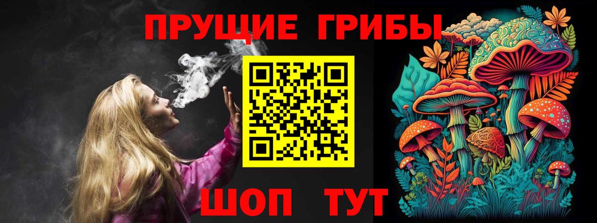 Псилоцибиновые грибы прущие грибы Котлас