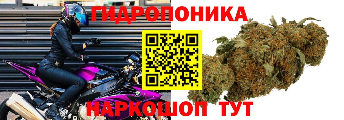 Марихуана семена Котлас